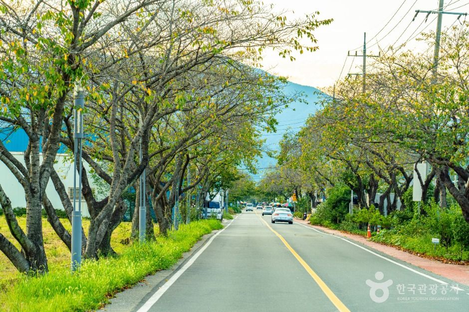 하동명품배거리
