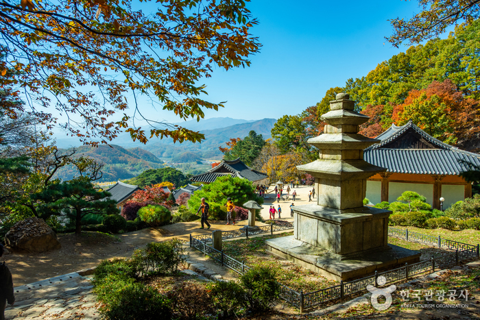 경북 여행코스 과거로 돌아가 잠시 삶의 쉼표를 찍어보는 영주 여행