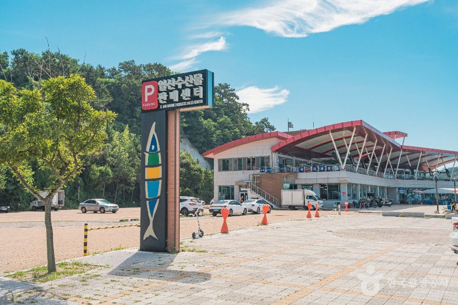 울산 쇼핑 명소 일산수산물판매센터