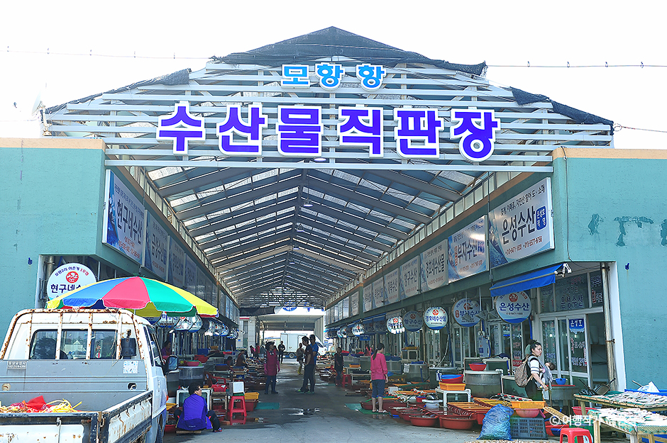 충남 쇼핑 명소 모항항수산물직판장