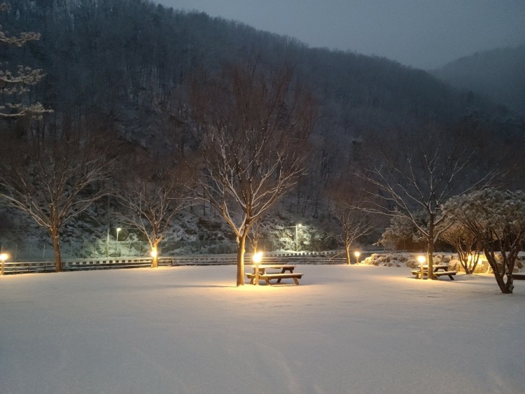 수입리캠핑장