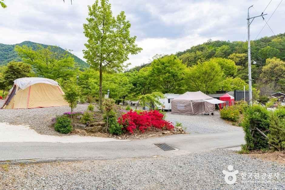 괴산 도명산 오토캠핑장