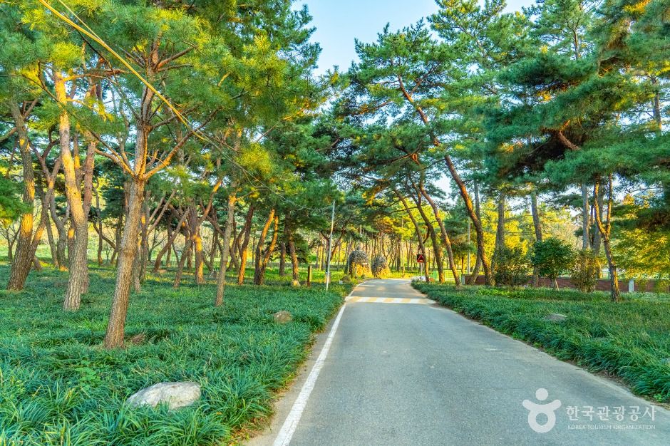 전남 가볼만한 곳 구만마을