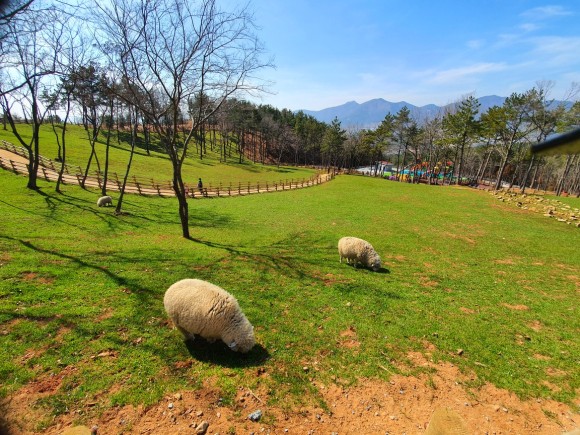 경남 여행코스 거제도 일상 회복 청춘 투어, 지친 나를 위로하고 치유하는 여행