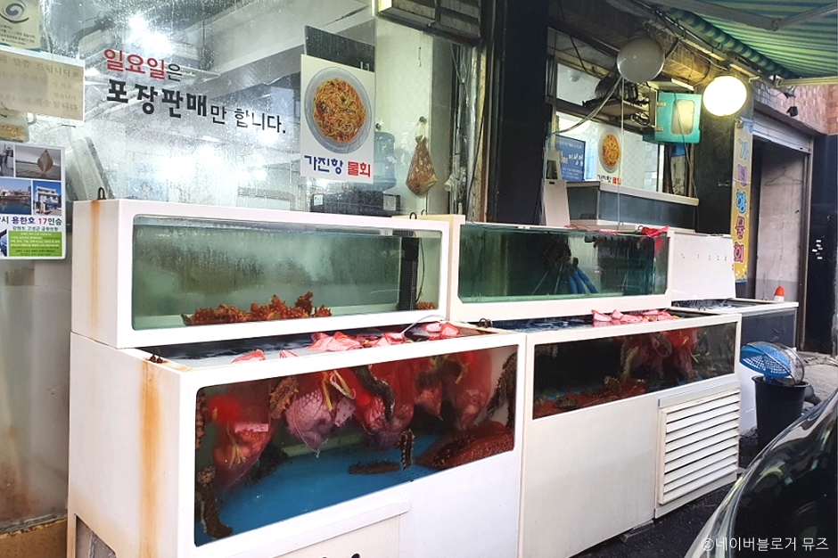 부부횟집