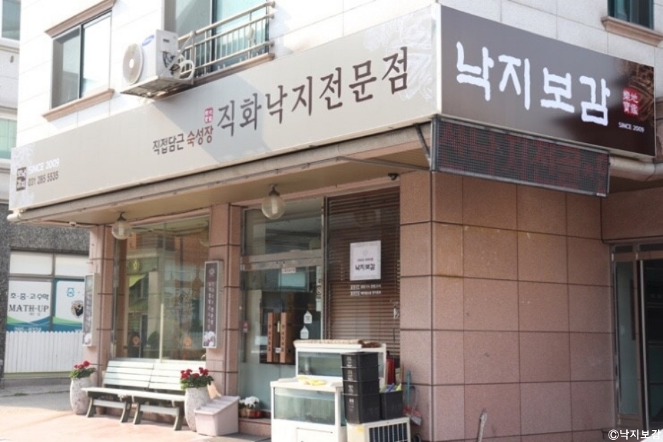 낙지보감