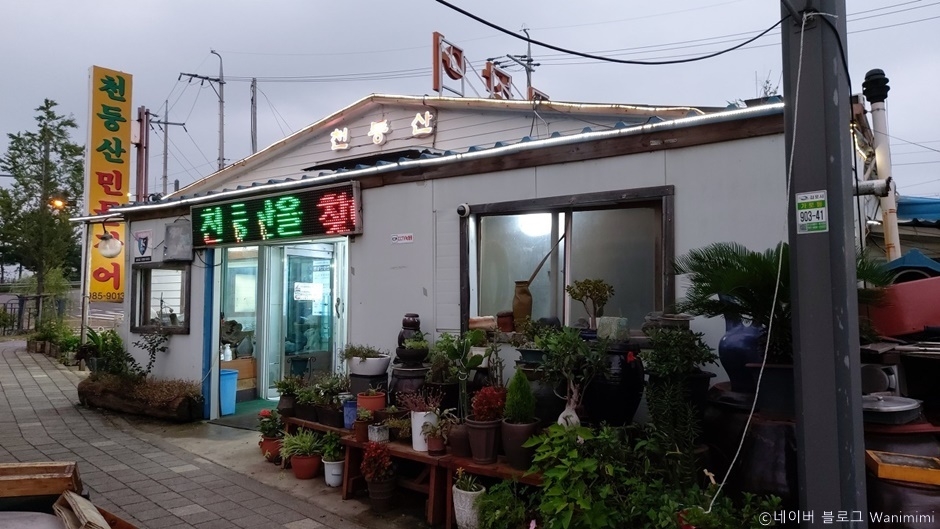 천둥산민물장어