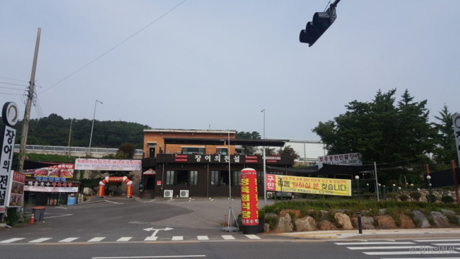 장어의전설