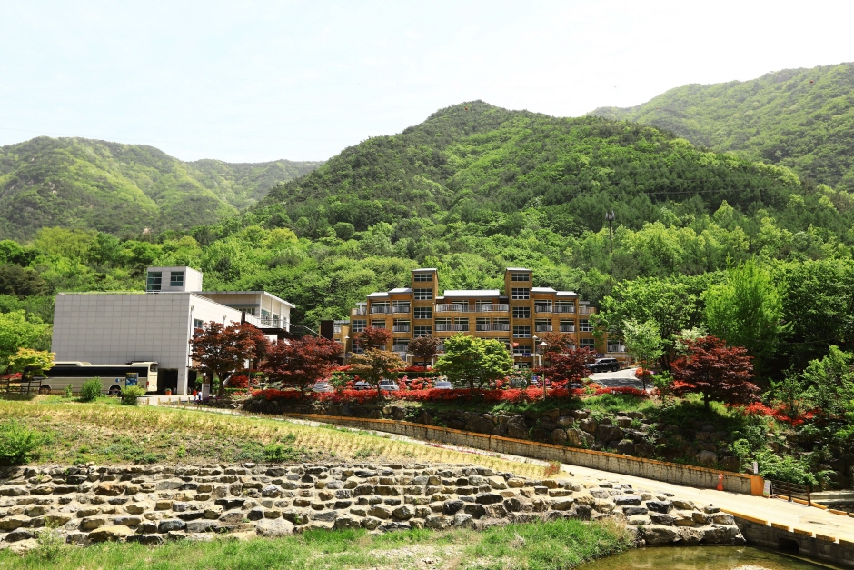 충북 숙소 장령산자연휴양림