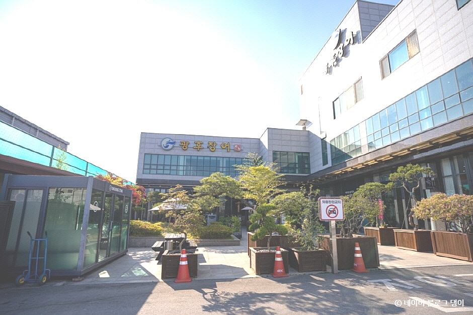 광후장어