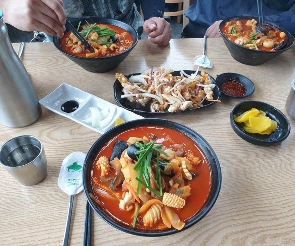 짬뽕나무