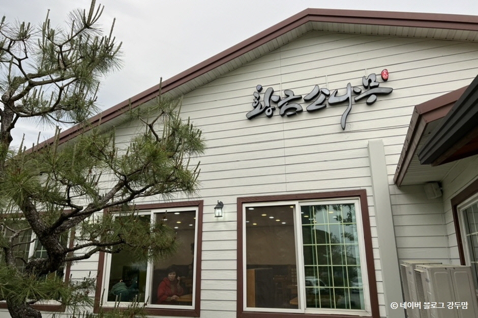 황금소나무