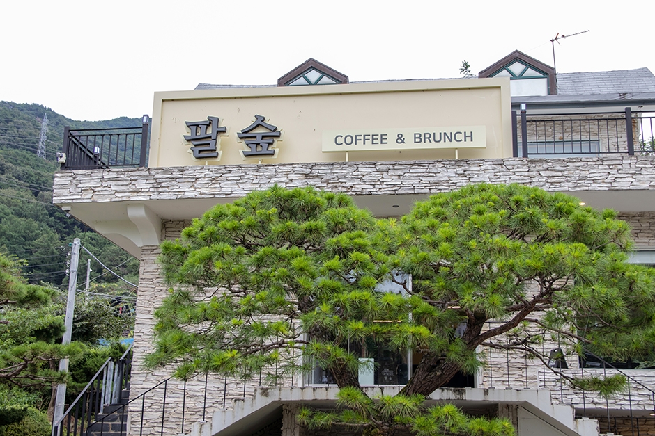 팔숲