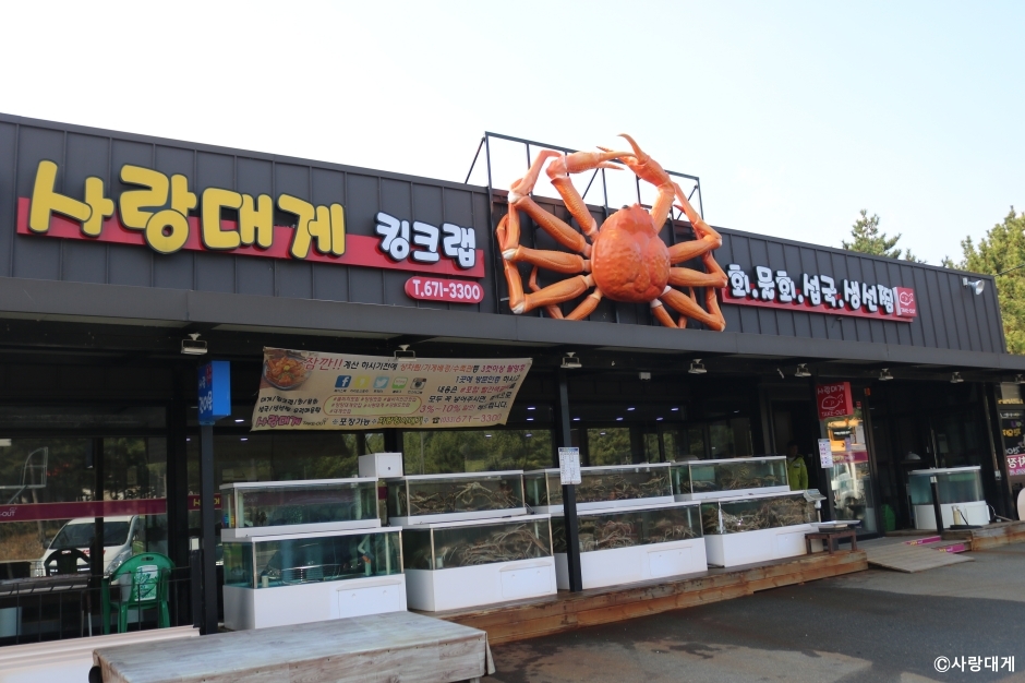 사랑대게