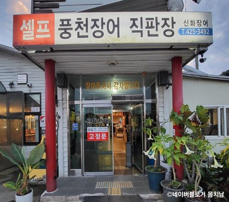 신화장어