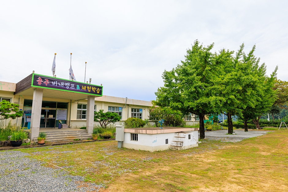 충주 비내오토캠핑장