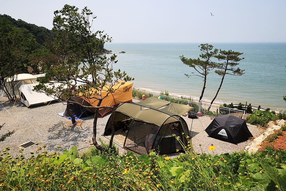 인천 레포츠 영흥도어울림캠핑장