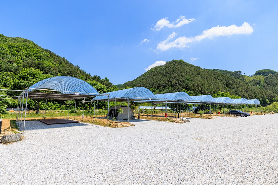 진악산오토캠핑장