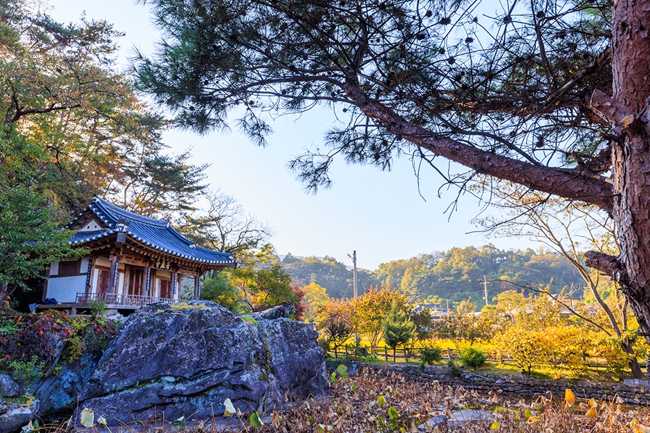 주암정