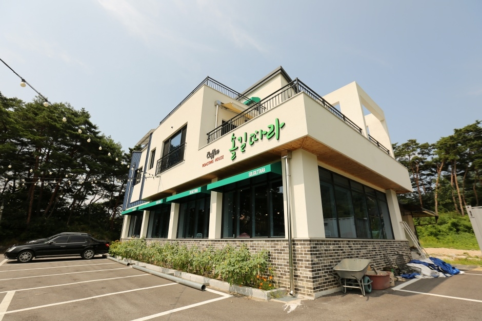 솔길따라