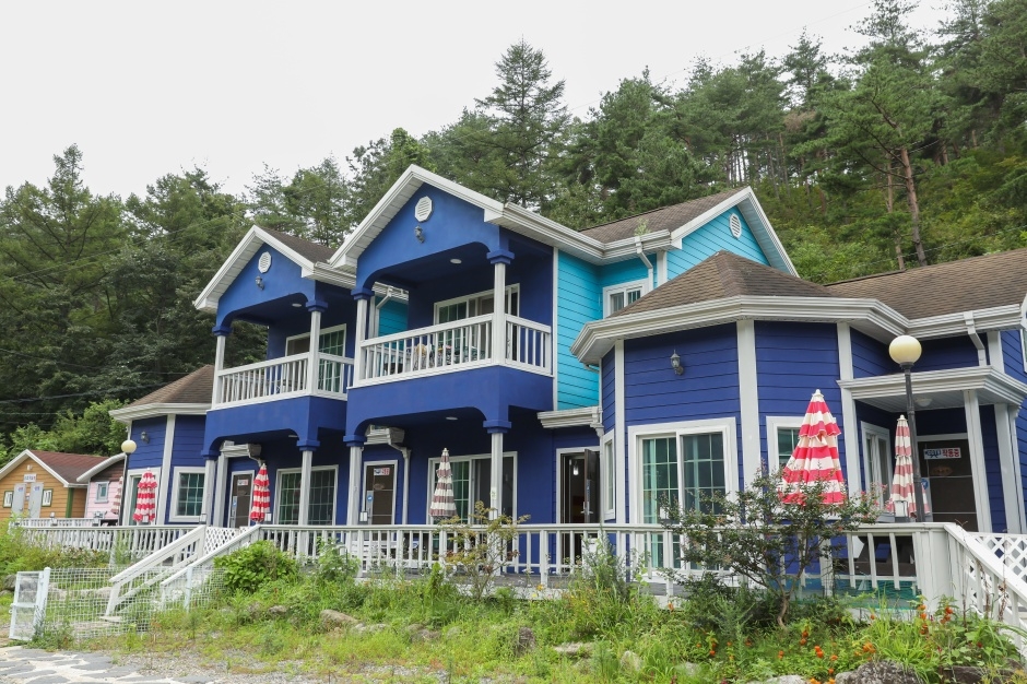 발렌타인애견펜션