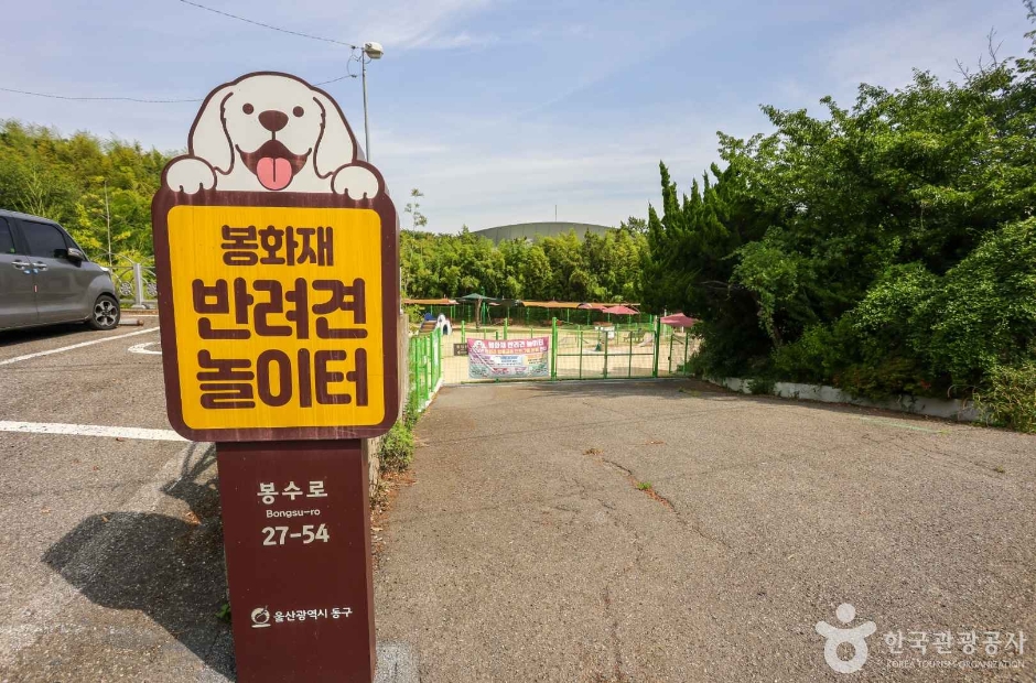 울산 가볼만한 곳 봉화재 반려견 놀이터