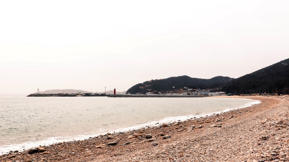 검은낭