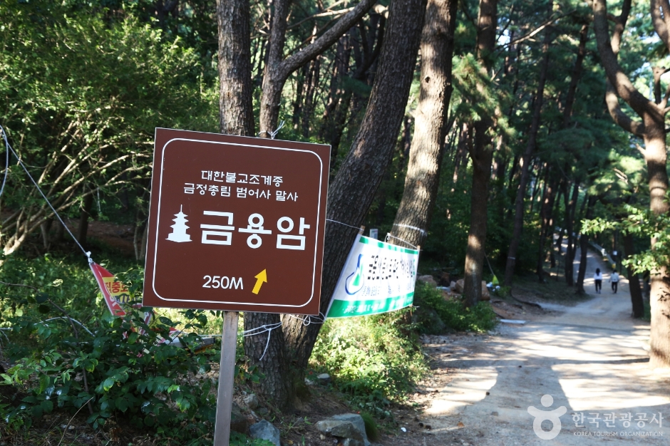 부산 가볼만한 곳 금용암(부산)