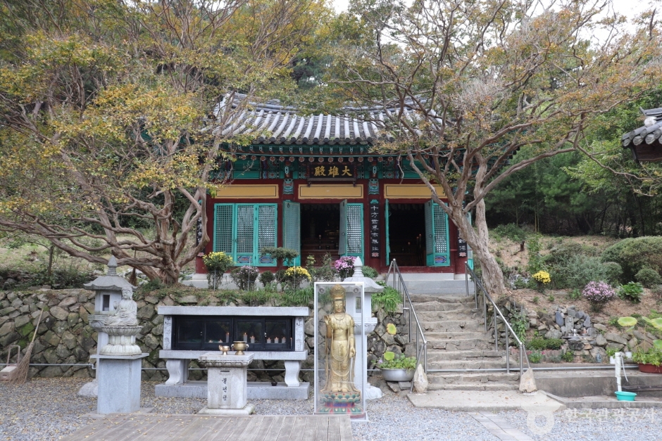 대전 가볼만한 곳 내원사(대전)