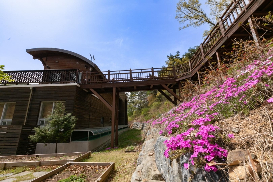 충남 가볼만한 곳 국립예산치유의숲
