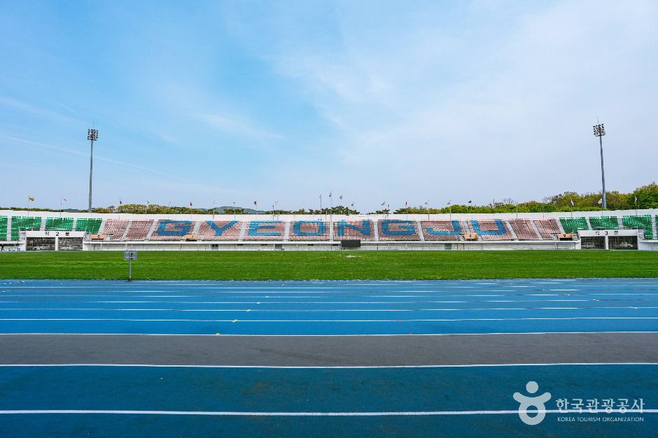 경북 가볼만한 곳 경주축구공원