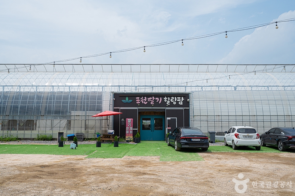 포천딸기힐링팜