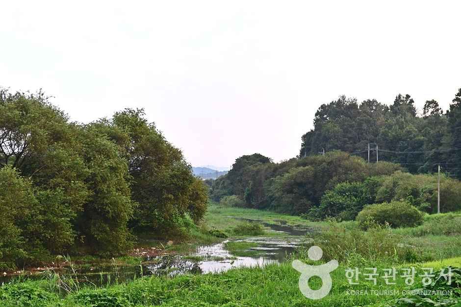 반구정습지