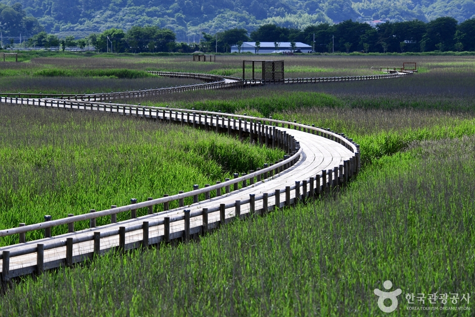 벌교생태공원