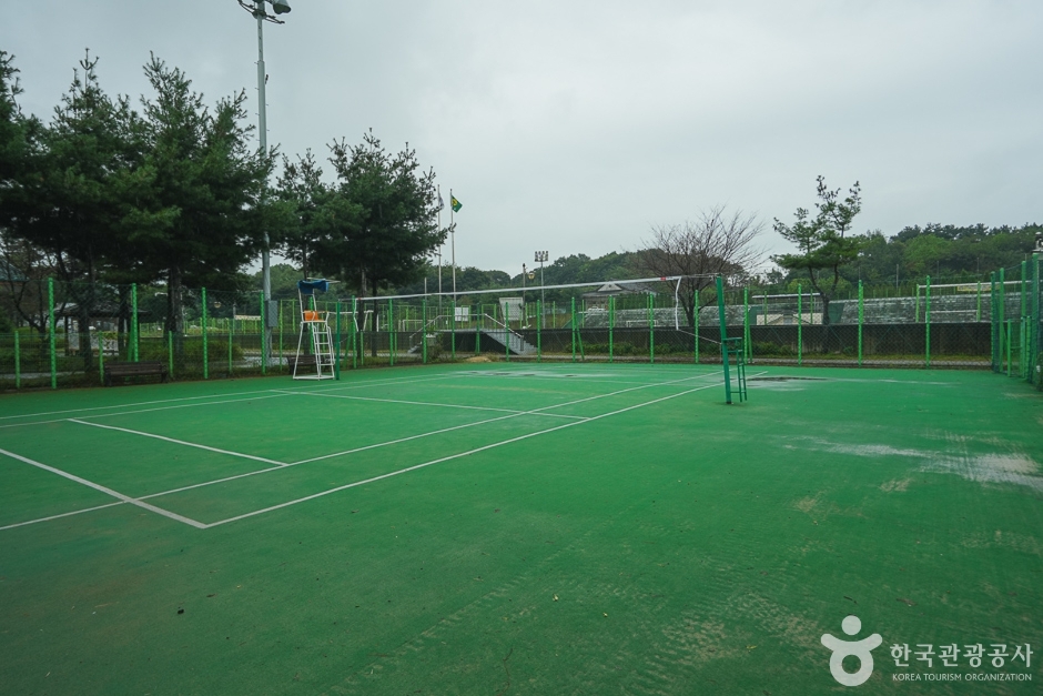 충남 가볼만한 곳 광천생활체육공원