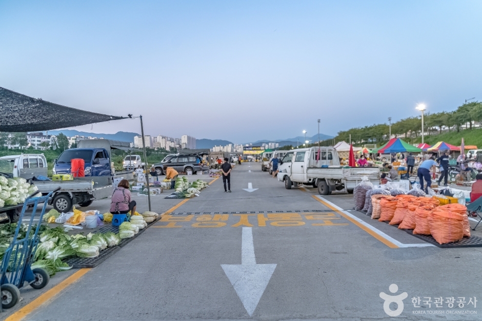 강릉농산물새벽시장