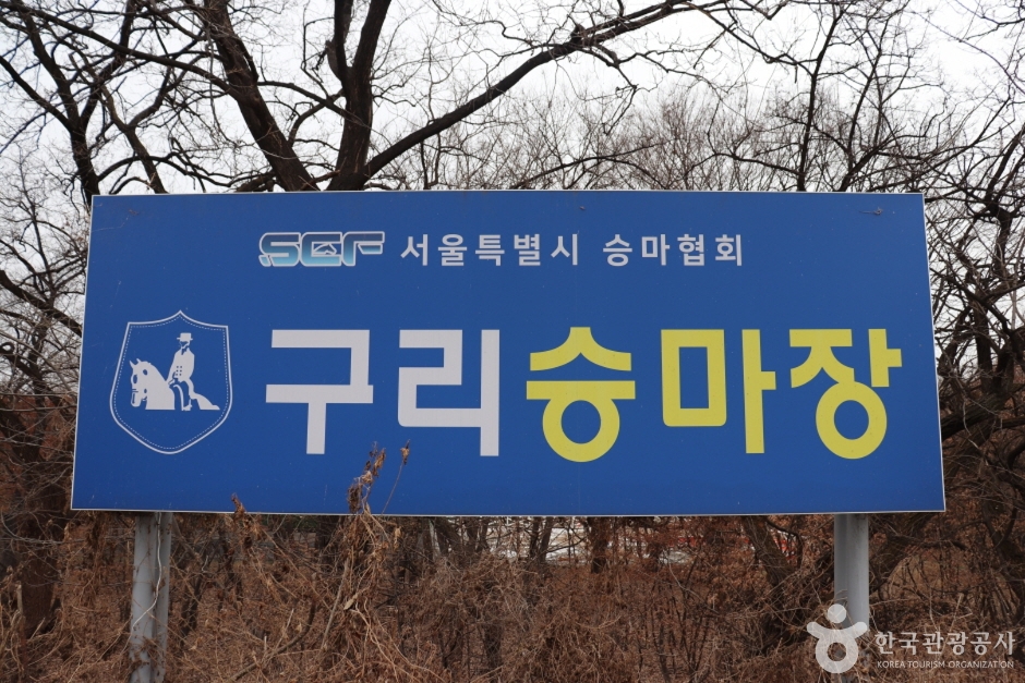 경기 레포츠 구리승마클럽