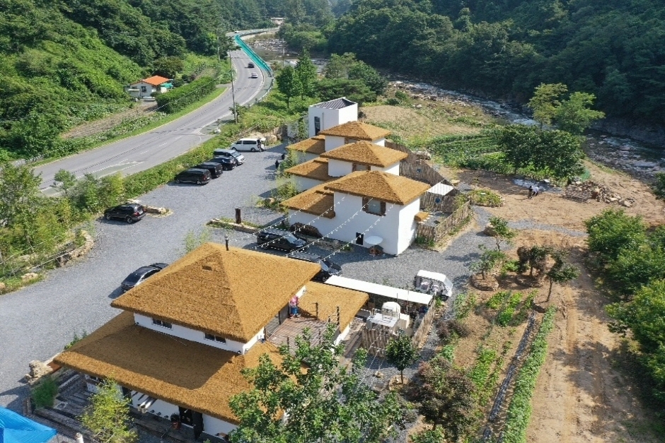 충북 숙소 오무아무아 풀빌라