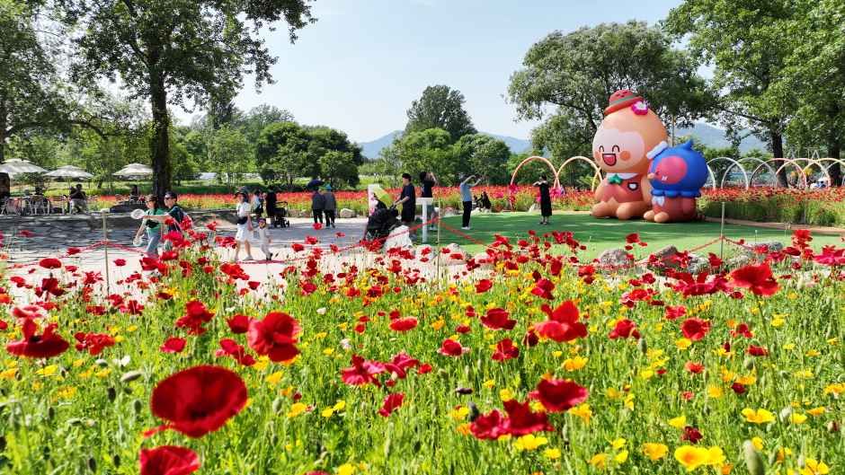 Colorful Garden 자라섬 꽃 페스타