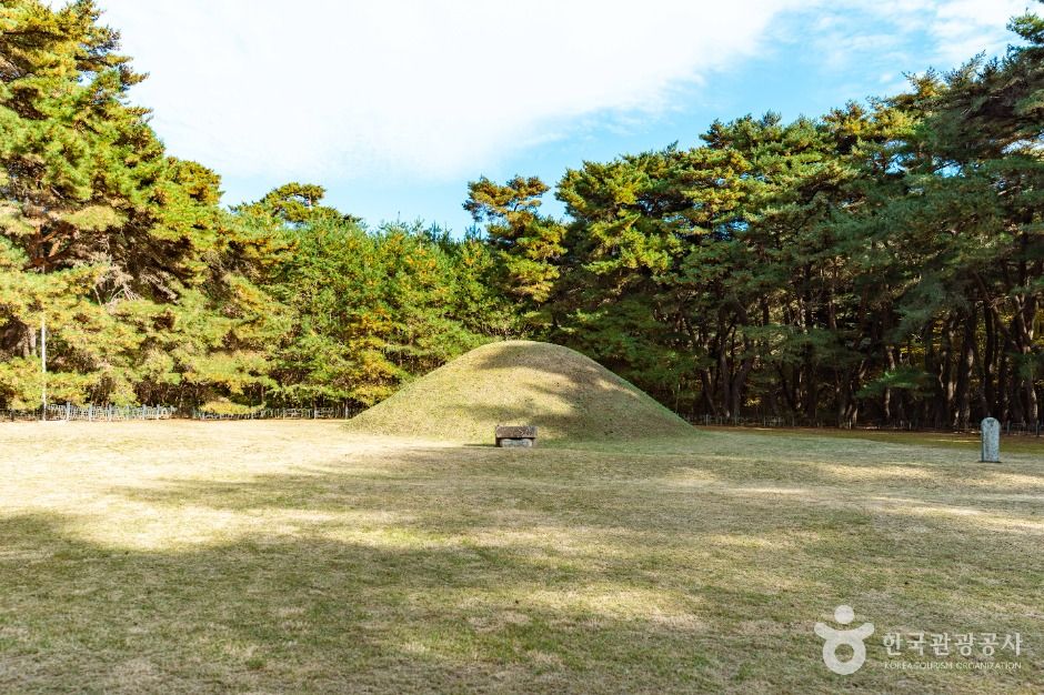경북 가볼만한 곳 경주 경애왕릉
