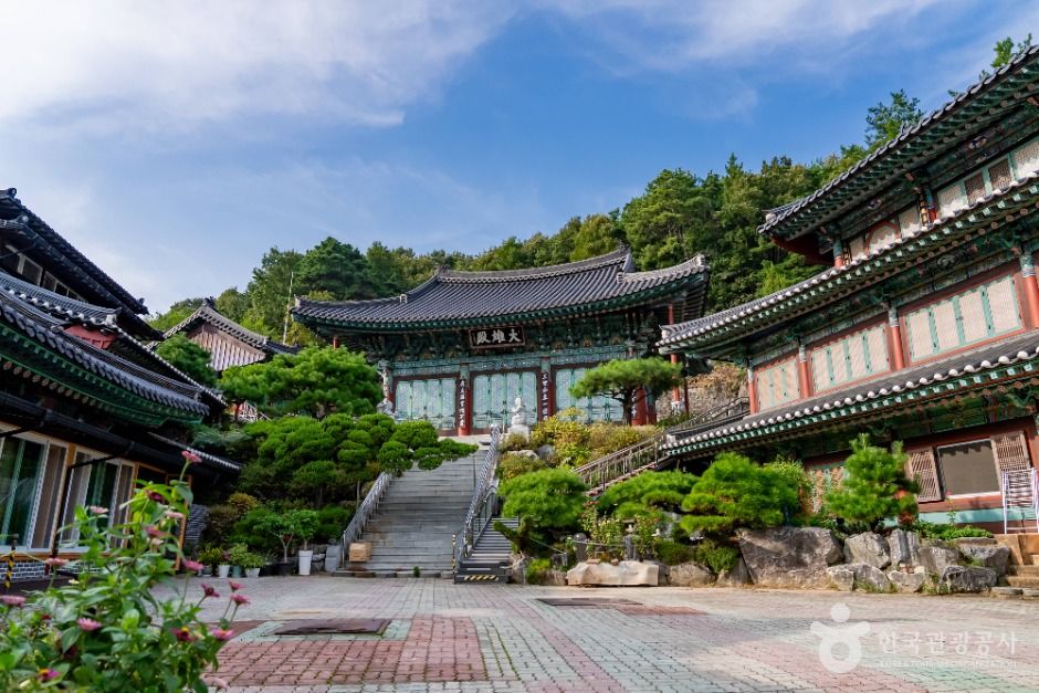 세종 가볼만한 곳 신광사(세종)