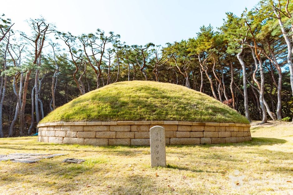 경북 가볼만한 곳 경주 헌강왕릉