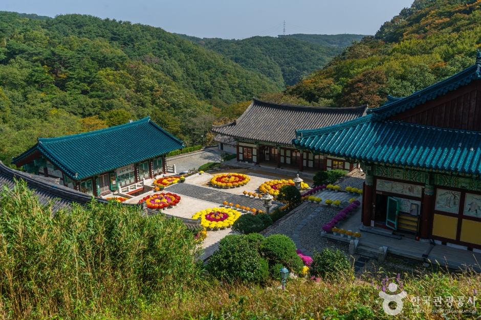 울산 가볼만한 곳 신흥사(울산)
