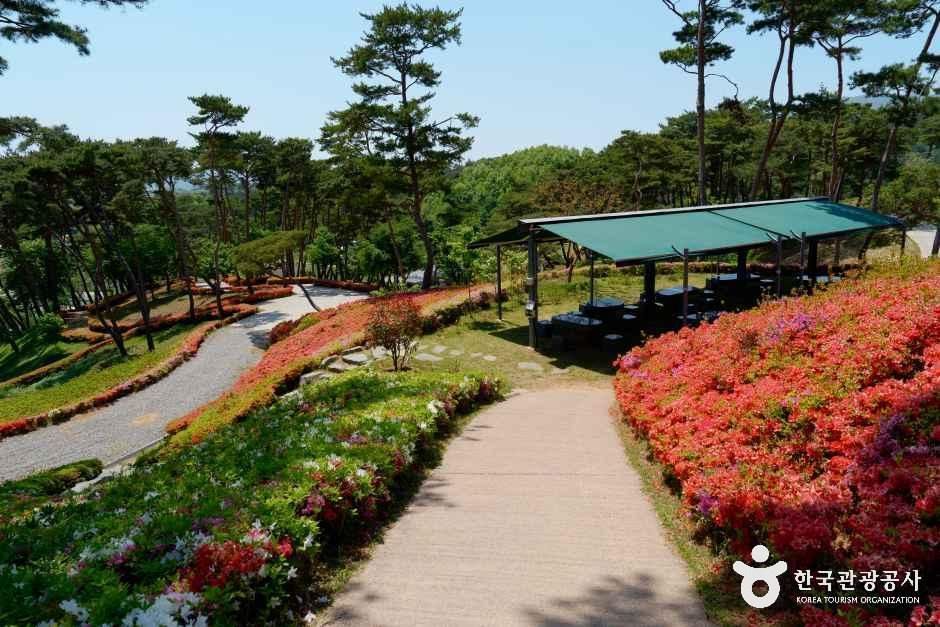 홍성솔바람테마파크