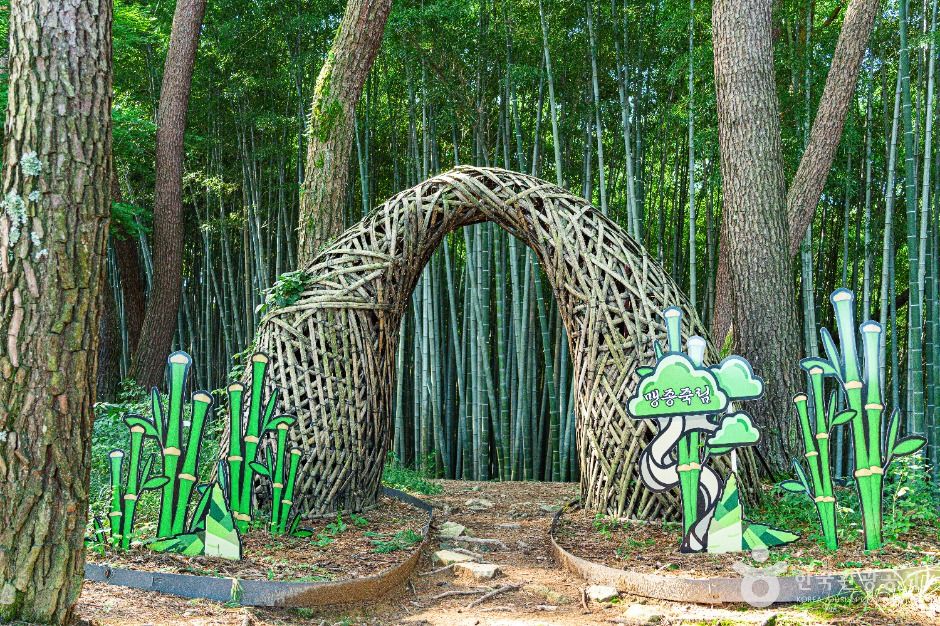 고창읍성 맹종죽림