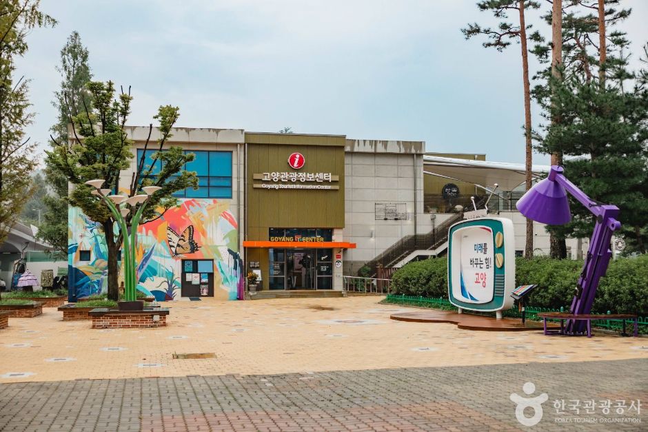[DMZ 평화의 길] 장항습지생태 코스