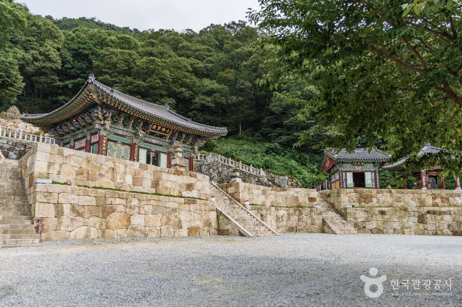 용덕사