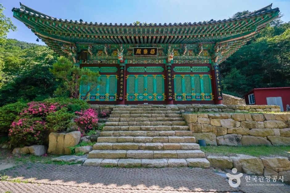 대구 가볼만한 곳 용문사(대구)
