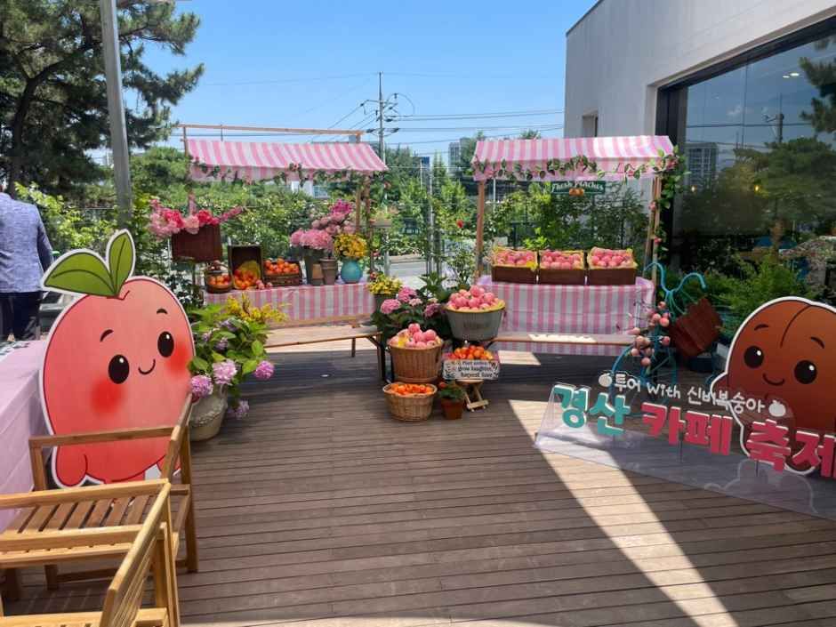 경산카페축제