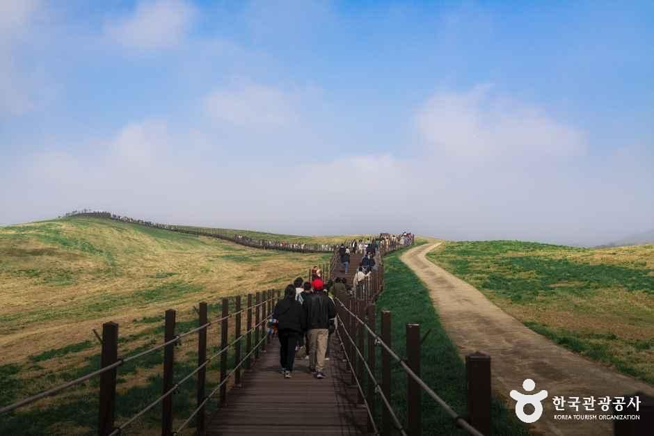 서산한우목장 웰빙산책로